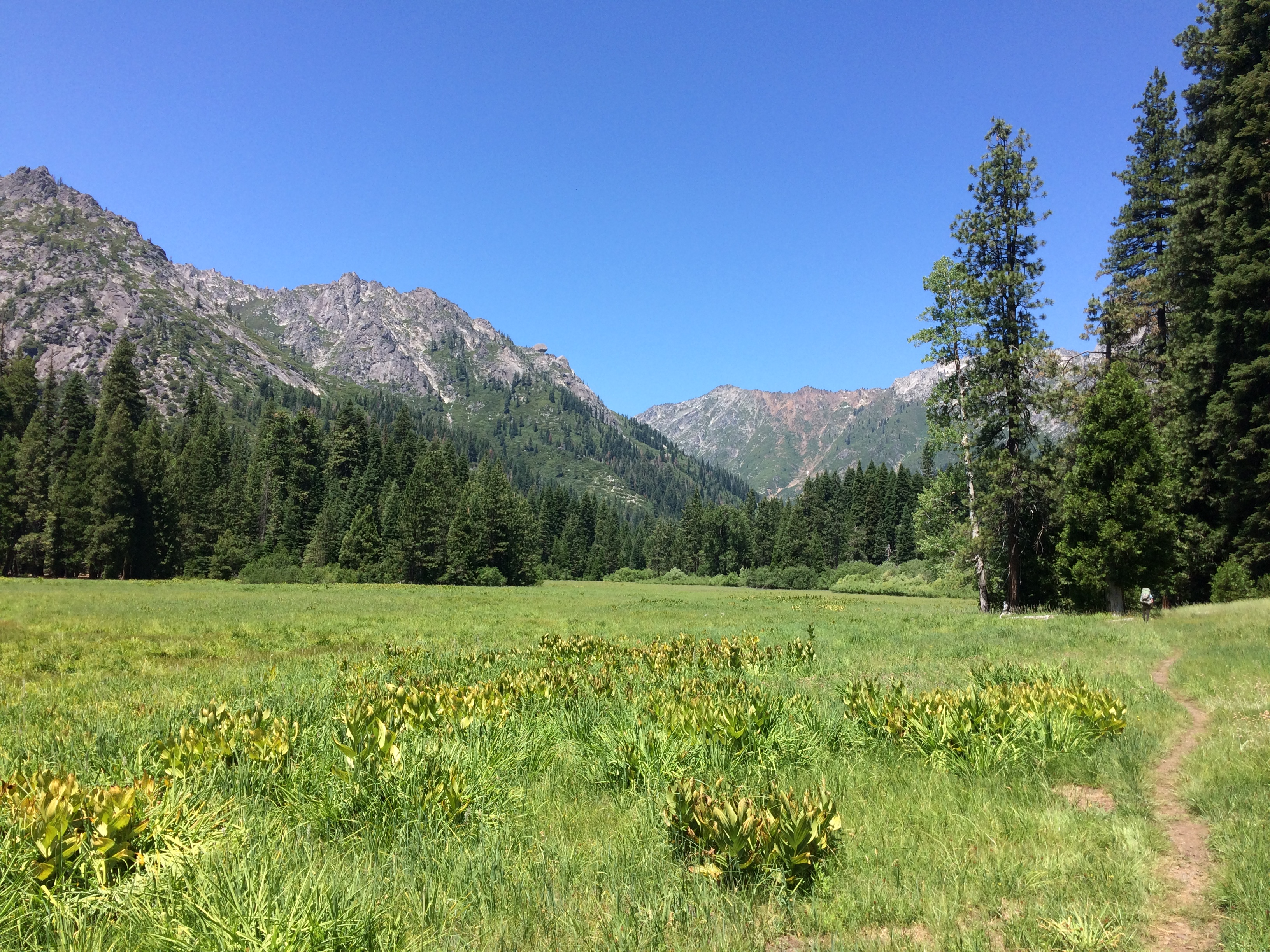 Photo Jul 01, 1 16 11 PM