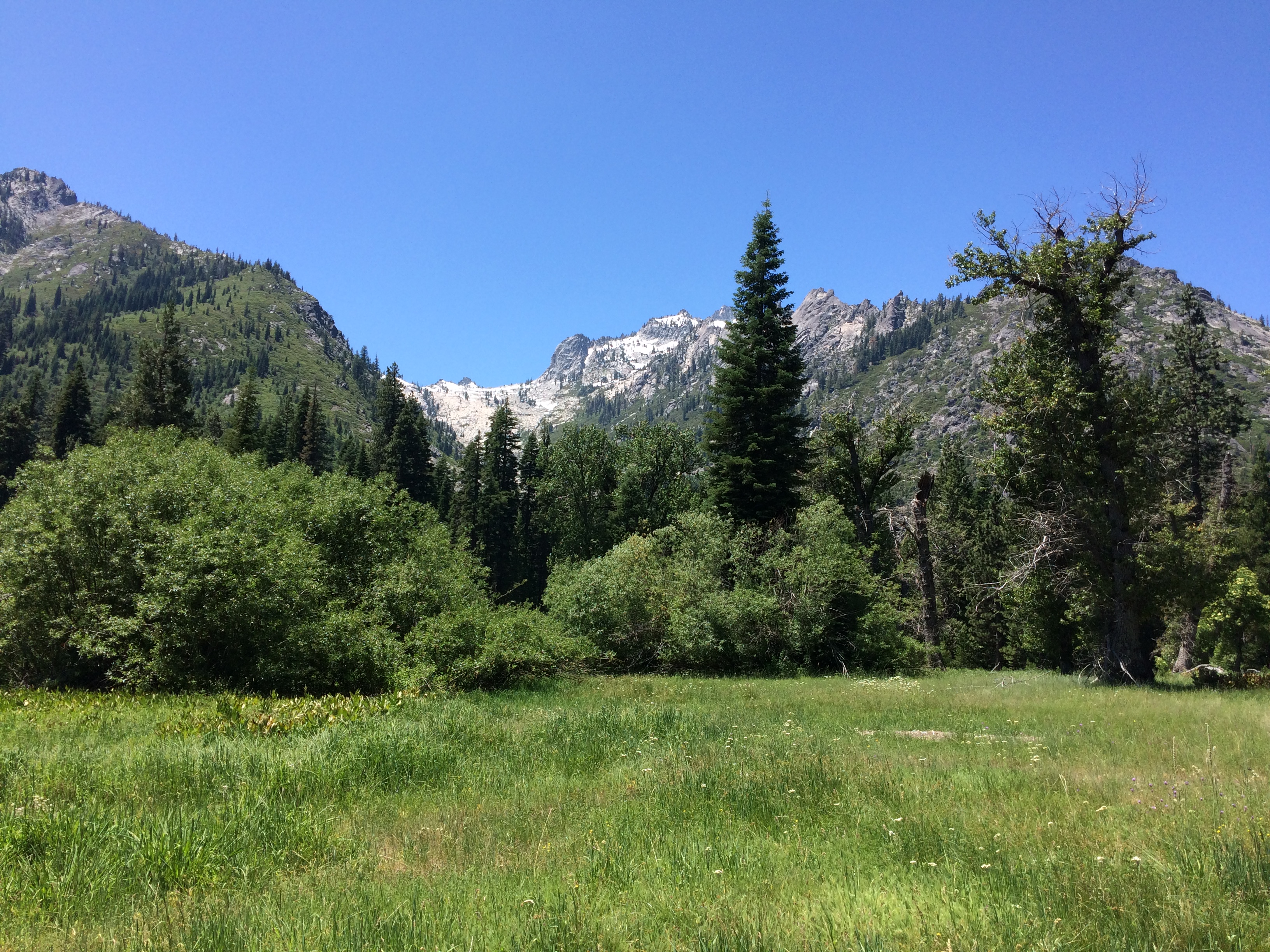 Photo Jul 01, 1 24 08 PM