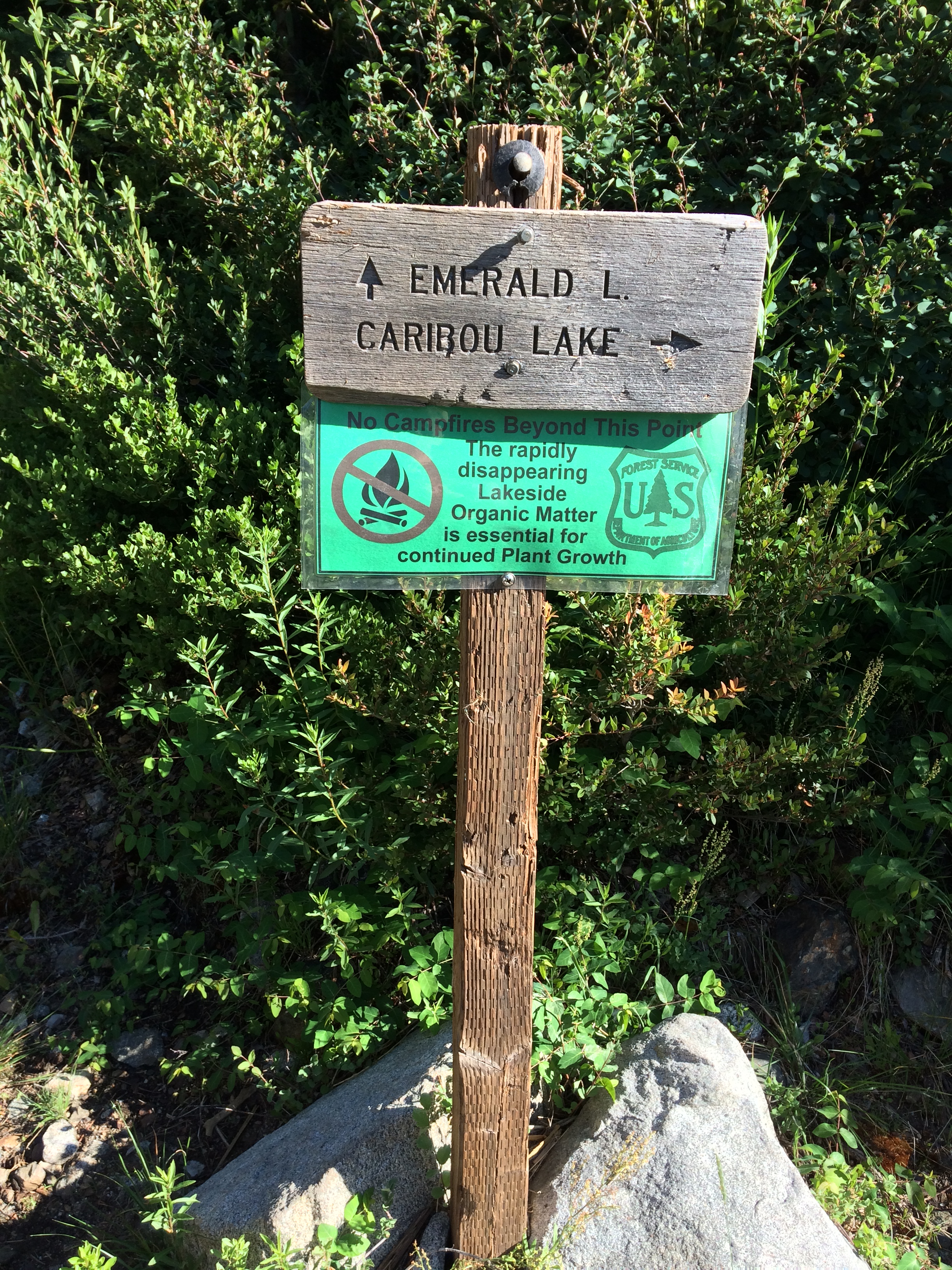 Photo Jul 03, 8 26 47 AM