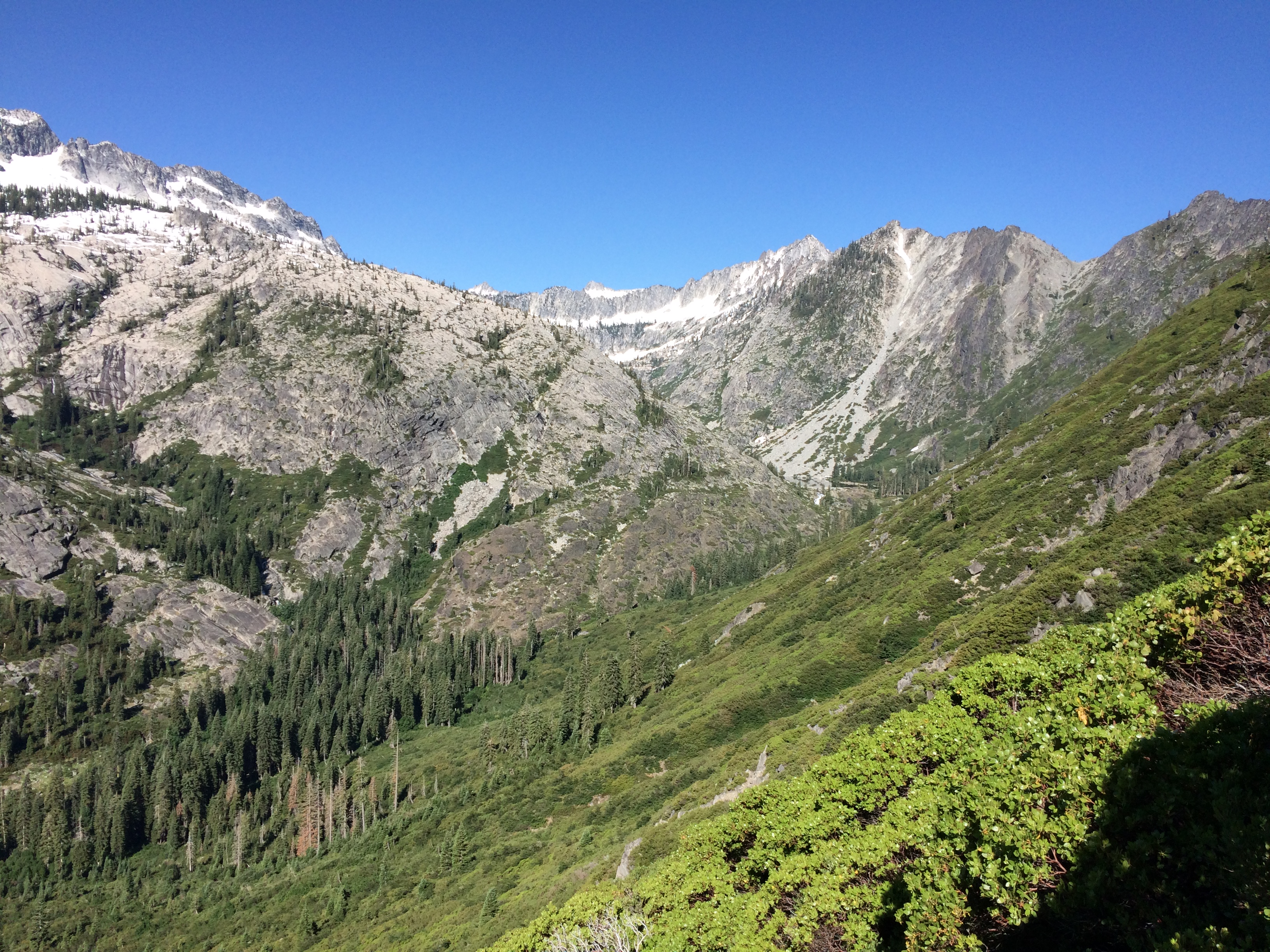 Photo Jul 03, 8 58 58 AM