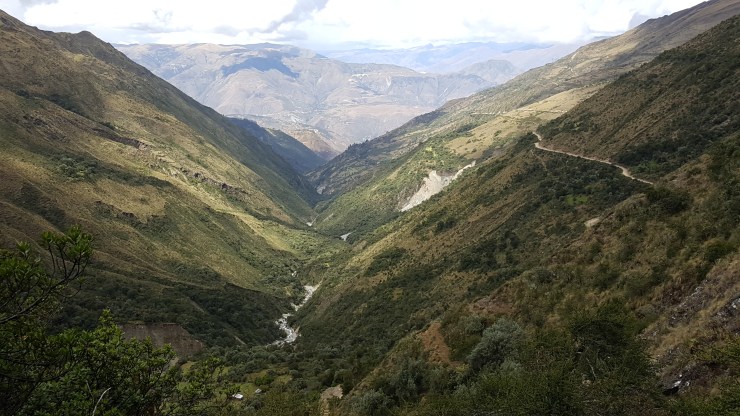 20160523_120611_AndyWillis