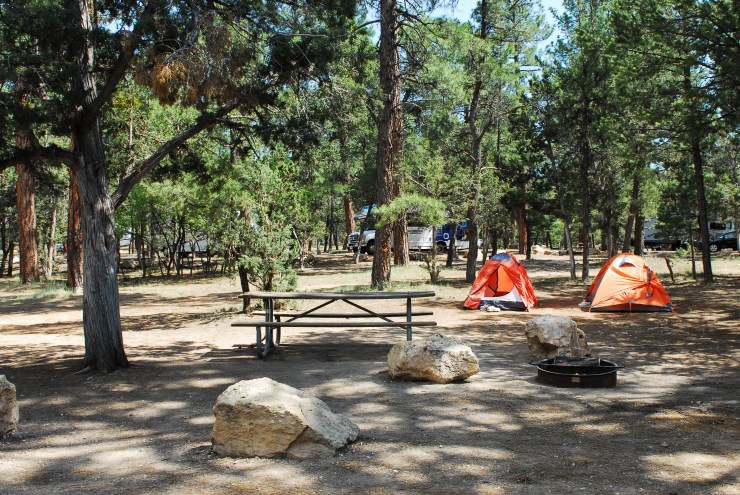 Grand Canyon National Park Mather Campground SR