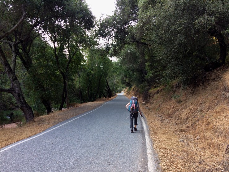 Photo Aug 18, 5 58 36 PM