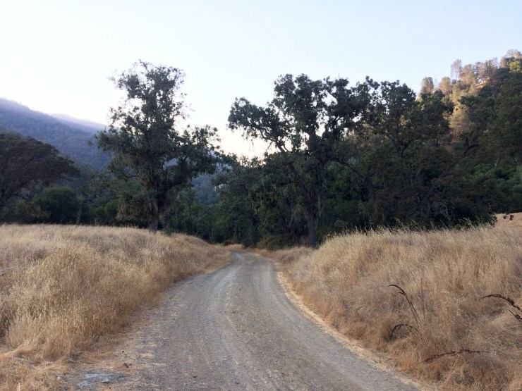 Photo Aug 18, 6 39 19 PM