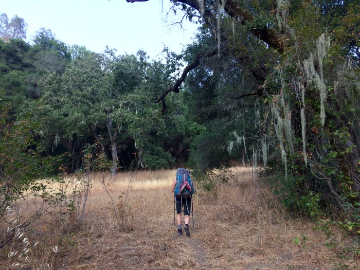 Photo Aug 18, 6 50 14 PM