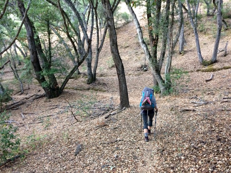 Photo Aug 18, 6 52 01 PM