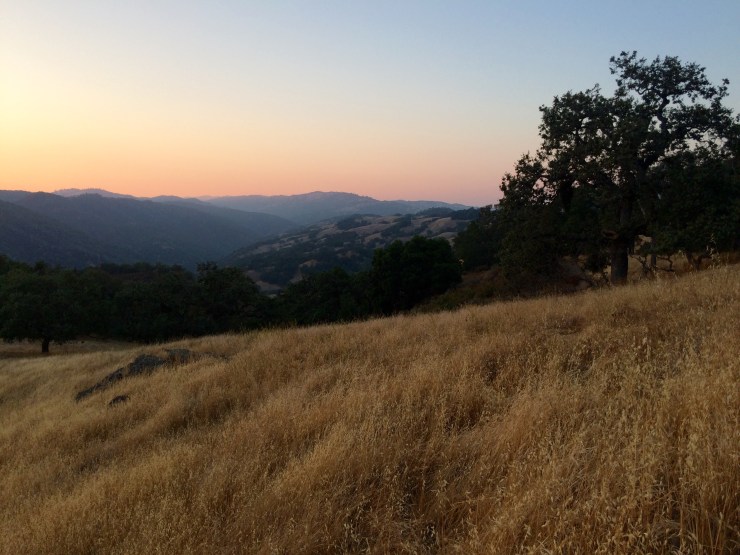 Photo Aug 18, 7 46 39 PM