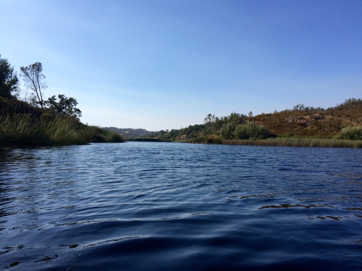 Photo Aug 19, 5 01 59 PM