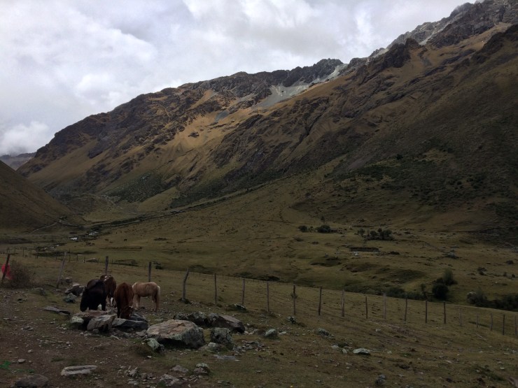 Photo May 23, 11 04 23 AM