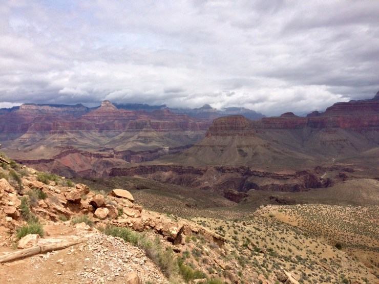 Photo May 23, 11 57 58 AM