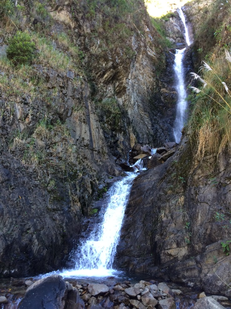 Photo May 25, 7 08 56 AM