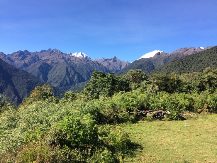 Photo May 26, 7 05 55 AM