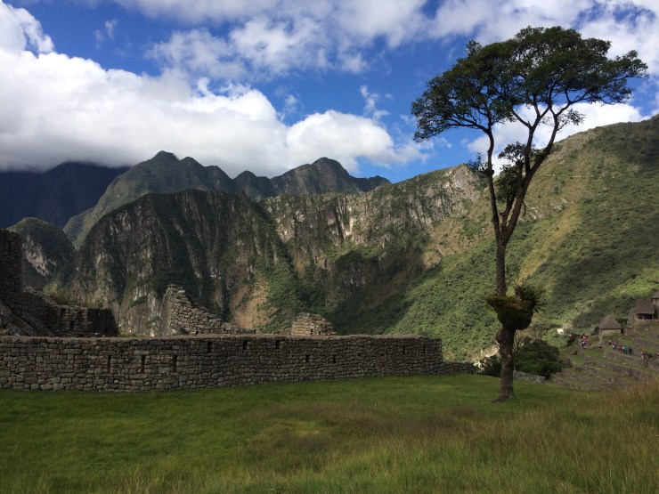 Photo May 27, 11 28 20 AM