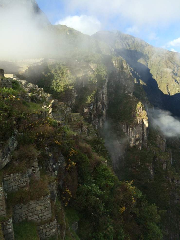 Photo May 27, 5 39 25 AM