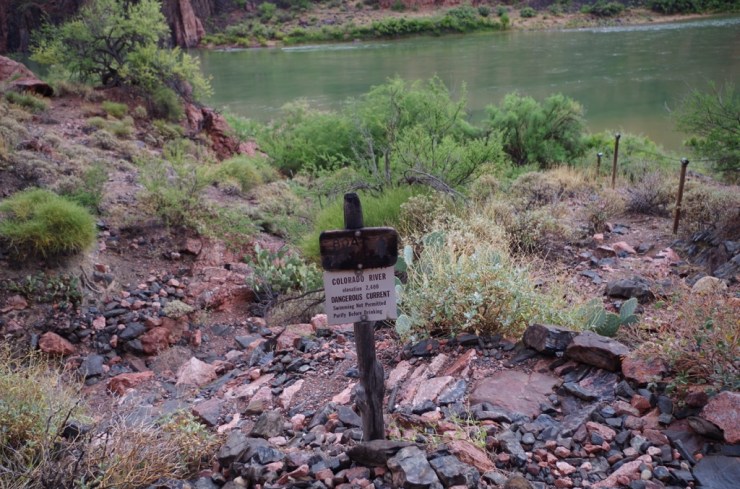 UNADJUSTEDNONRAW_thumb_8dff