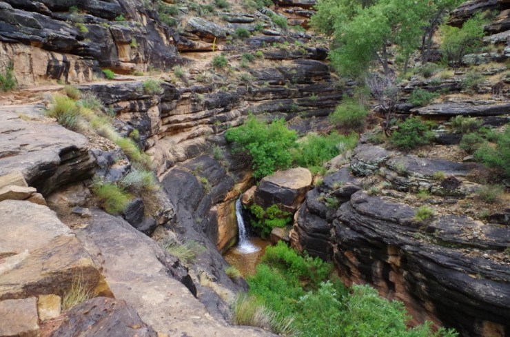 UNADJUSTEDNONRAW_thumb_8e47