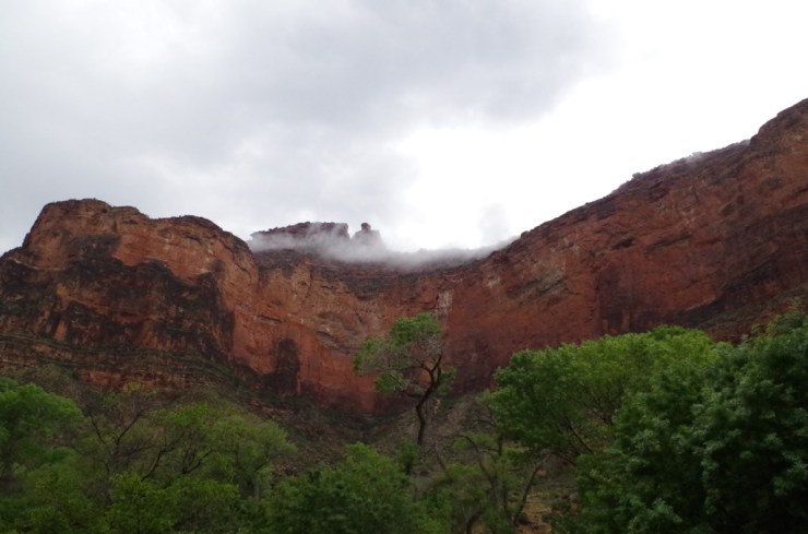 UNADJUSTEDNONRAW_thumb_8e5d