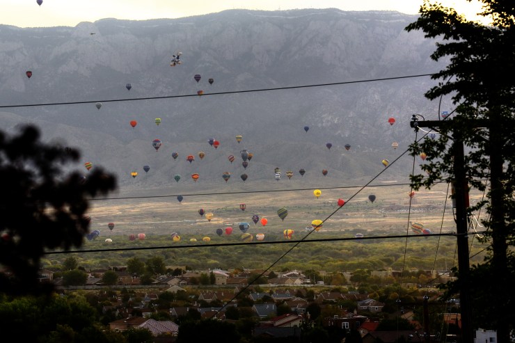 balloon_sandia_2_gardener41