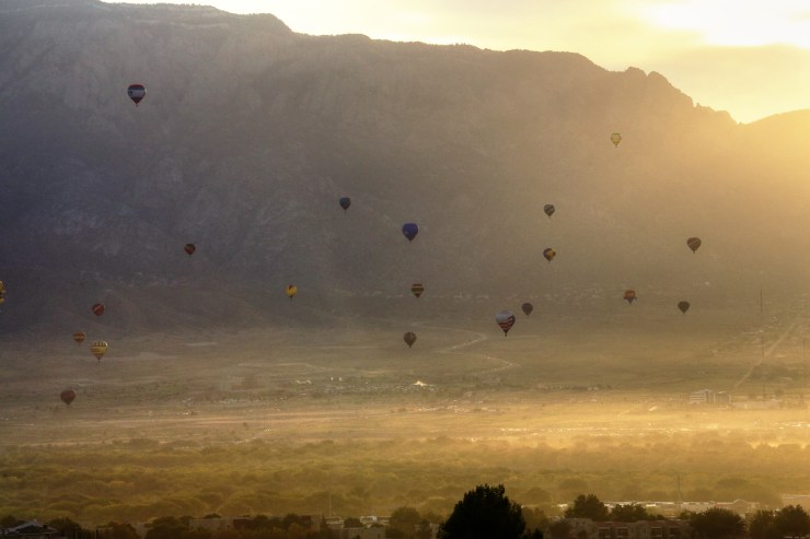 balloon_sandia_gardener41