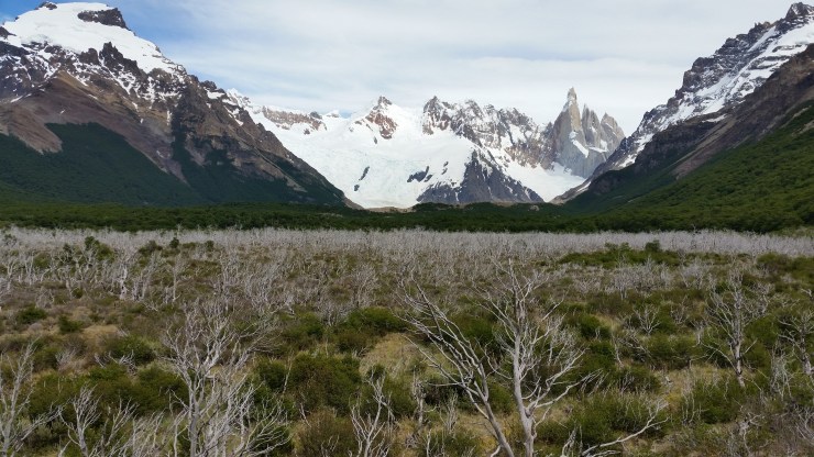 View of Cerro Torre and Cerro Solo and a view of the burned area of the scrub forest
