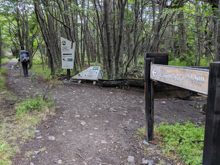 The final stretch of the trail goes back into the forest. You then pass the Grey campground before coming upon the Refugio.