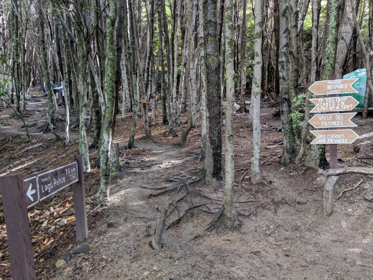 The trail to the Mirador Britanico starts off through a forest.