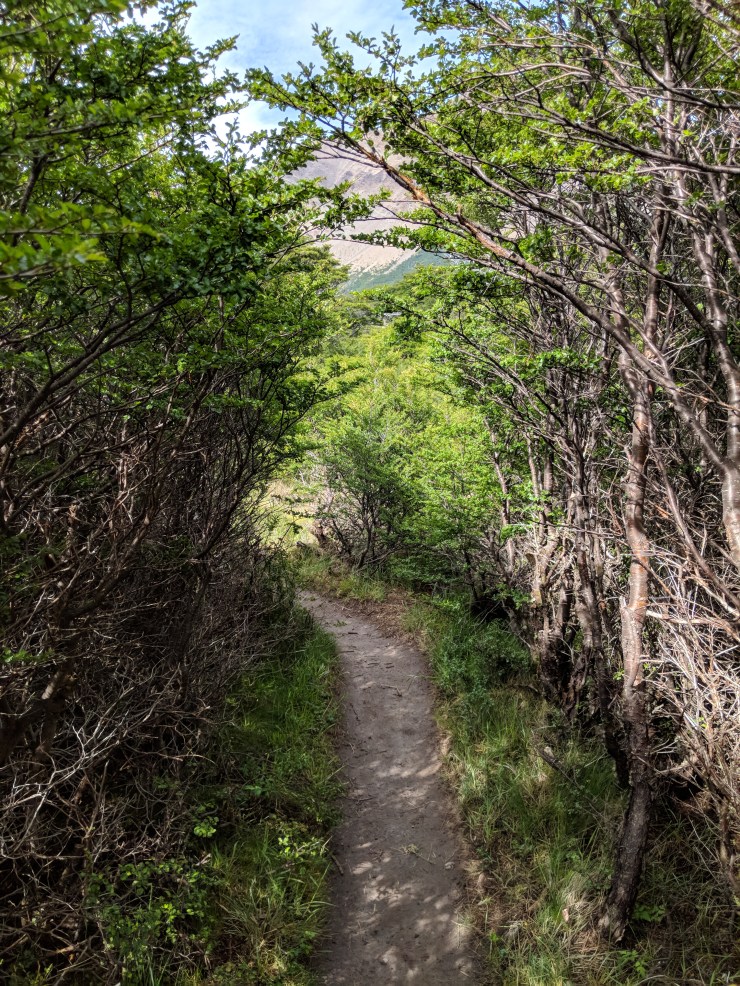 Maker:L,Date:2017-8-29,Ver:5,Lens:Kan03,Act:Kan02,E-ve