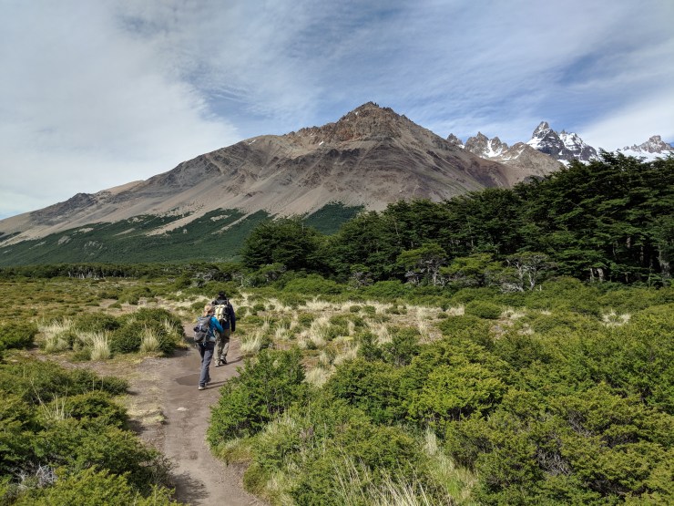 Eventually the trail opens up and leaves the forest. At this point you are near the Poincenot campsite