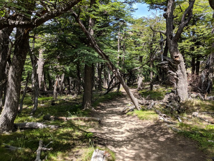 Maker:L,Date:2017-8-29,Ver:5,Lens:Kan03,Act:Kan02,E-ve