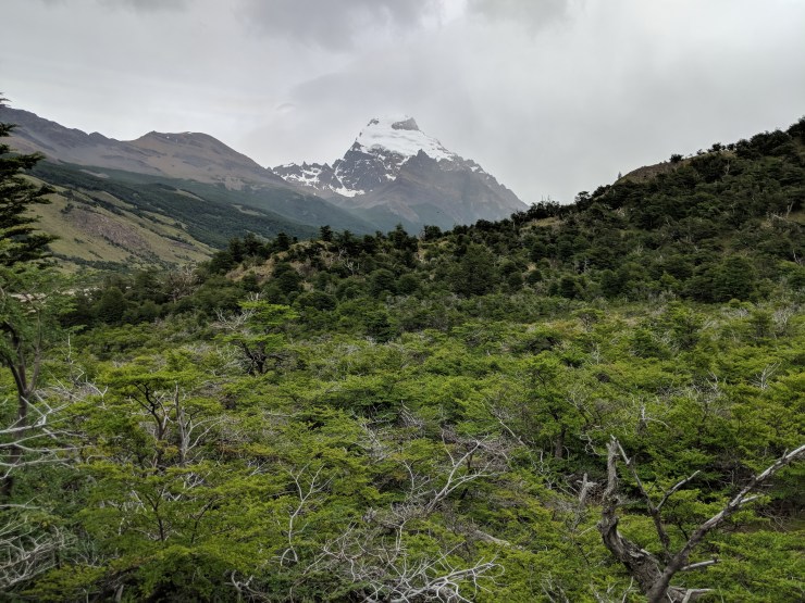 The view of Cerro Solo, the mountain just to the South of Laguna Torre