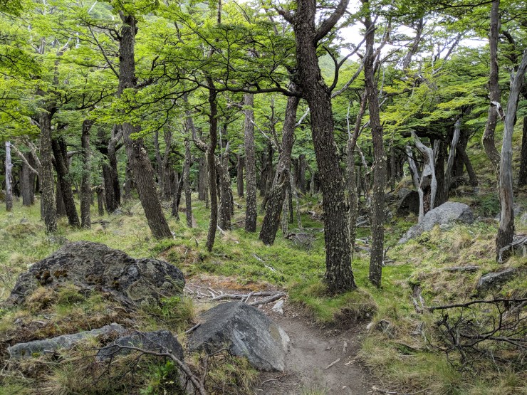 Maker:L,Date:2017-8-29,Ver:5,Lens:Kan03,Act:Kan02,E-ve