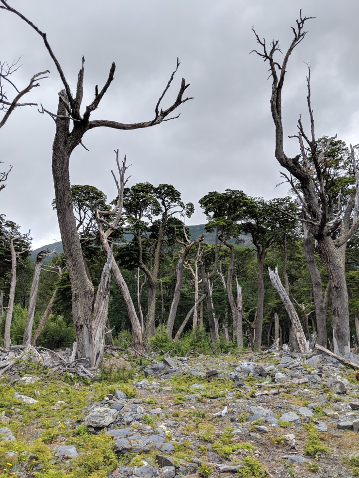 Maker:L,Date:2017-8-29,Ver:5,Lens:Kan03,Act:Kan02,E-ve