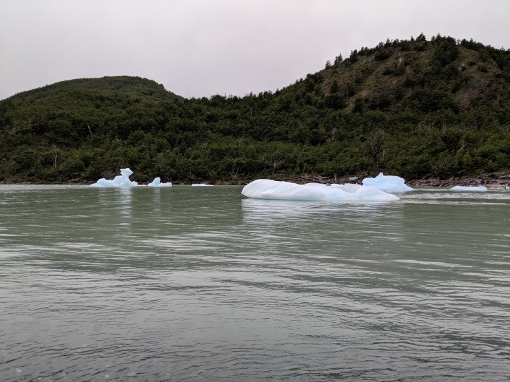 We then walked over to the shore of Lago Dickson to look at the scenery. These are icebergs that have broken off the Dickson Glacier and have floated all the way across Lago Dickson.