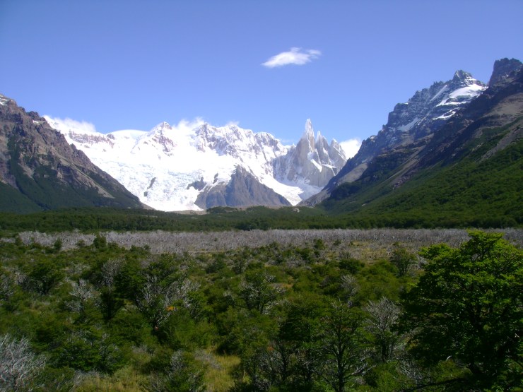 Torre_from_scrub_flopisubmarina