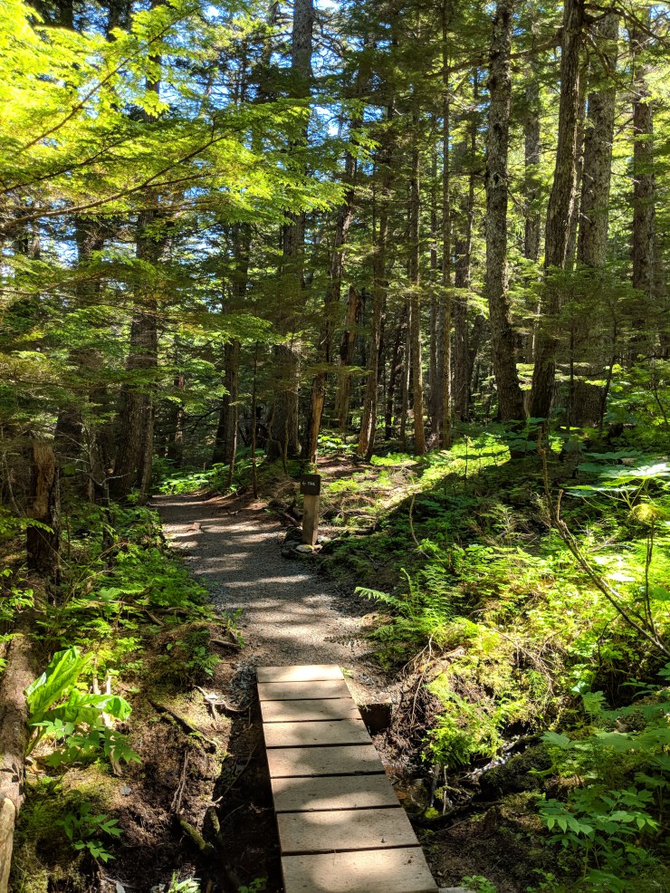 Maker:L,Date:2017-8-29,Ver:5,Lens:Kan03,Act:Kan02,E-Y