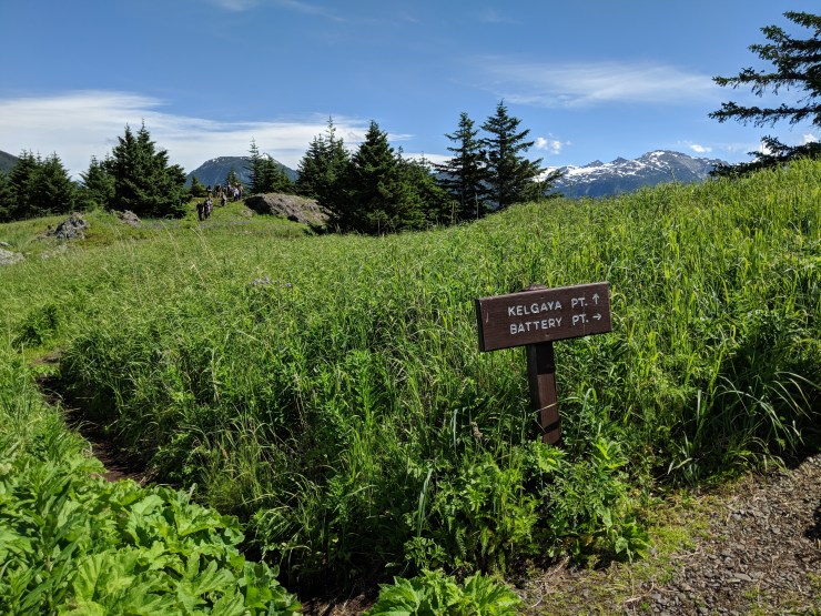 Maker:L,Date:2017-8-29,Ver:5,Lens:Kan03,Act:Kan02,E-Y