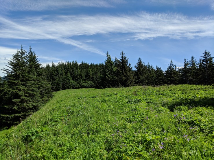 Maker:L,Date:2017-8-29,Ver:5,Lens:Kan03,Act:Kan02,E-Y