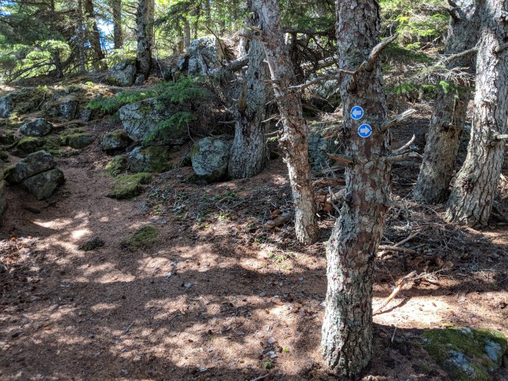 Maker:L,Date:2017-8-29,Ver:5,Lens:Kan03,Act:Kan02,E-Y