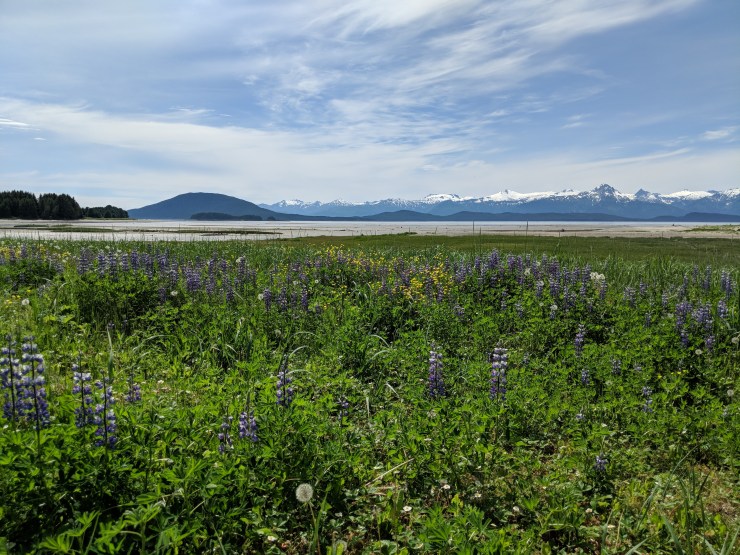 Maker:L,Date:2017-8-29,Ver:5,Lens:Kan03,Act:Kan02,E-Y