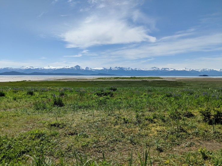 Maker:L,Date:2017-8-29,Ver:5,Lens:Kan03,Act:Kan02,E-Y