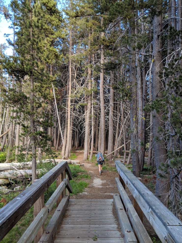 Desolation-wilderness-twin-lakes-wrights-lake-bridge