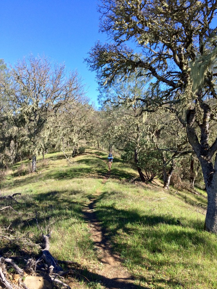 Henry-coe-backpacking-mississippi-climbing-willow-ridge