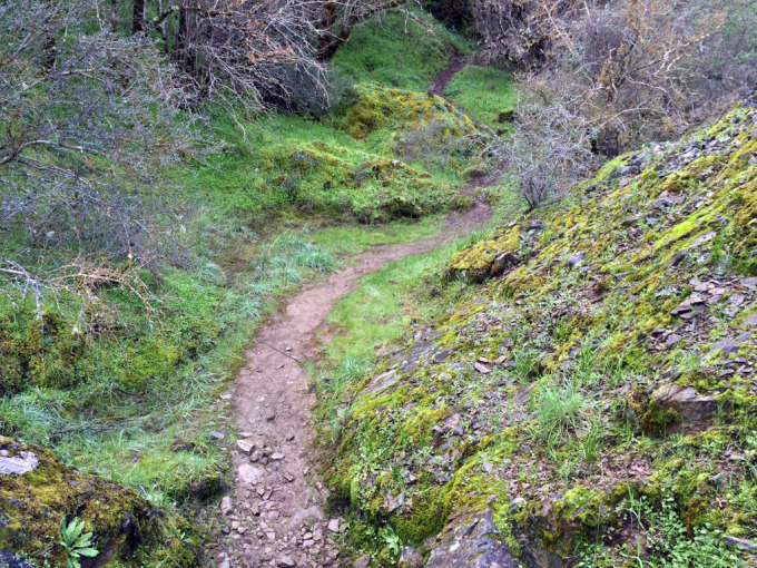 Henry-coe-backpacking-mississippi-hiking-the-narrows-side-trail