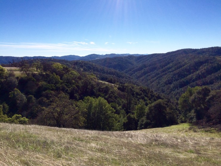 Henry-coe-backpacking-mississippi-lake-corral-trail-view