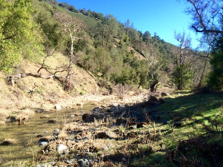 Henry-coe-backpacking-mississippi-lake-coyote-river-crossing