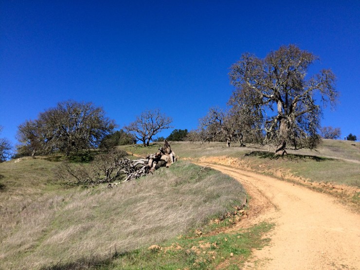 Henry-coe-backpacking-mississippi-lake-poverty-flat-climb