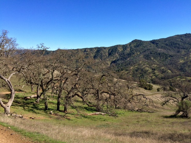 Henry-coe-backpacking-mississippi-lake-poverty-flat-descent-the-narrows