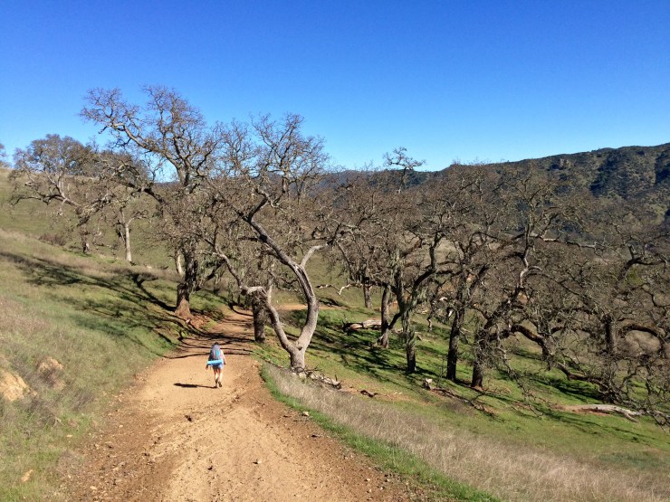 Henry-coe-backpacking-mississippi-lake-poverty-flat-descent