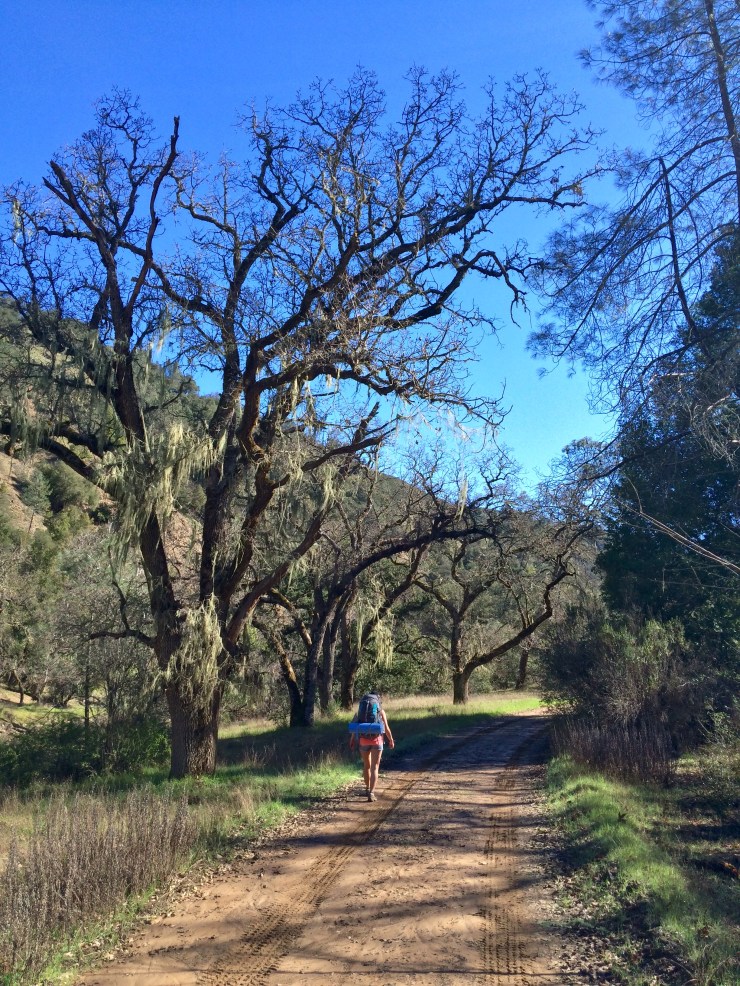 Henry-coe-backpacking-mississippi-lake-poverty-flat-road