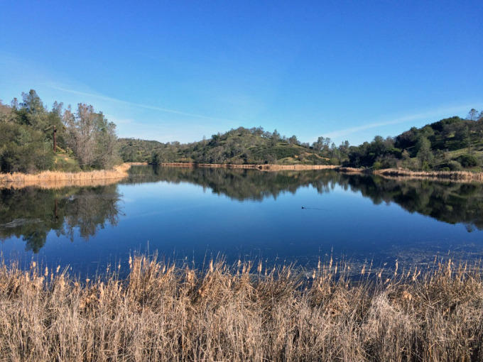 Henry-coe-backpacking-mississippi-lake-shore-morning